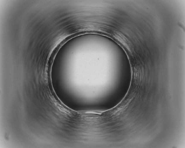 X0000098021068200804071347