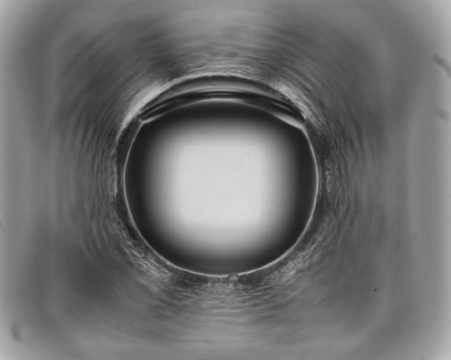 X0000098021069200804071347