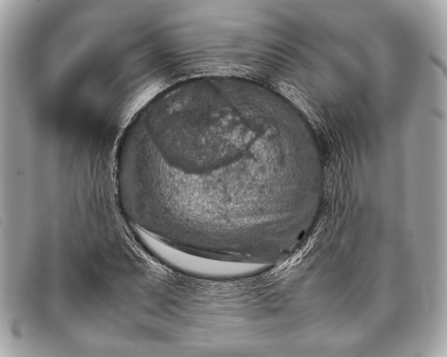 X0000098021071200804071347