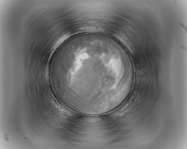 X0000098021074200804071347