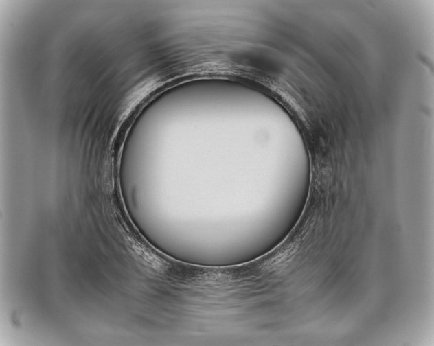 X0000098021075200804071347