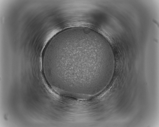 X0000098021079200804071347