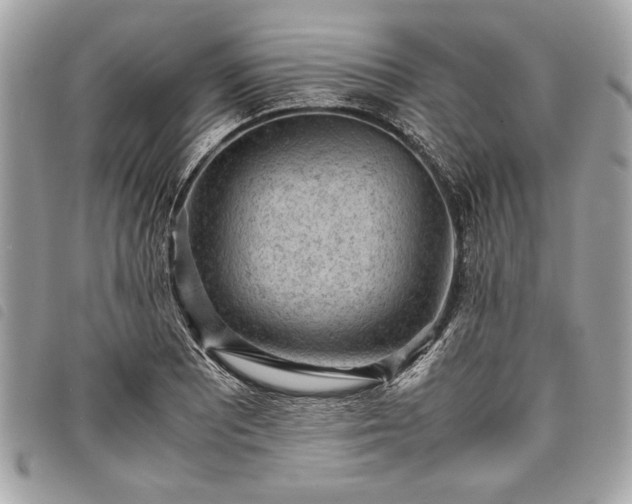 X0000098021081200804071347