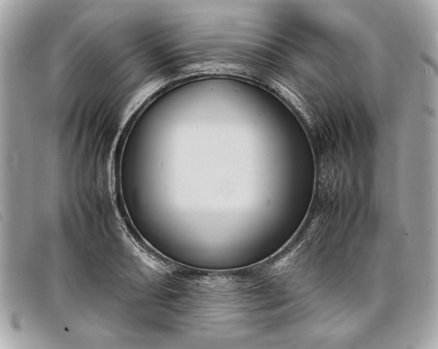 X0000098021082200804071347