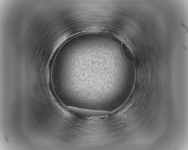 X0000098021083200804071347