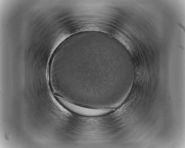 X0000098021084200804071347