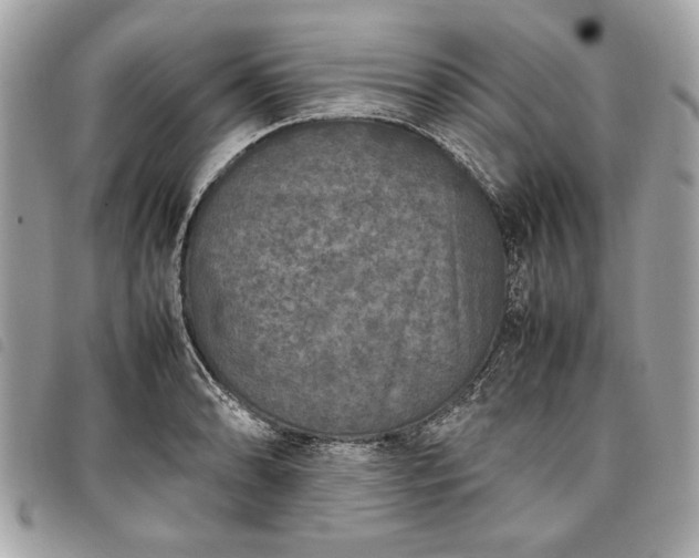 X0000098021086200804071347