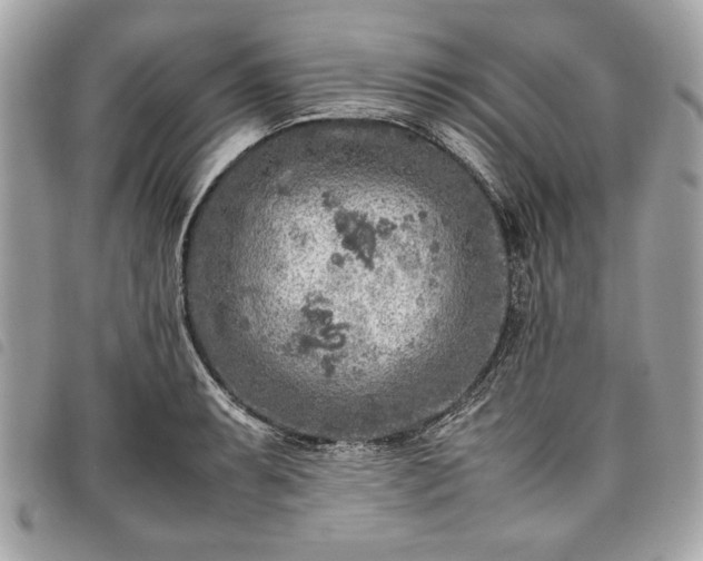 X0000098021087200804071347