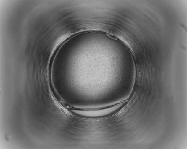 X0000098021088200804071347