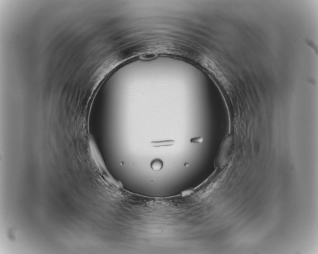 X0000098021089200804071347