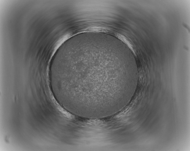 X0000098021091200804071347