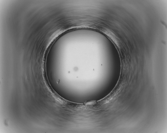 X0000098021093200804071347