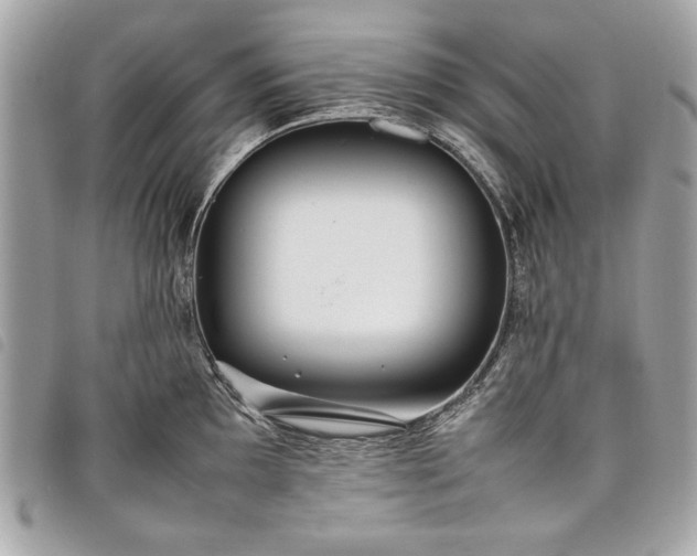 X0000098021097200804071347