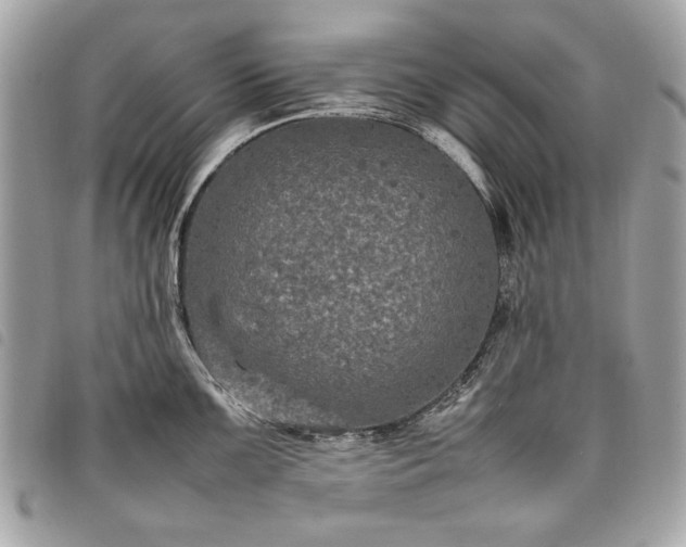 X0000098021099200804071347