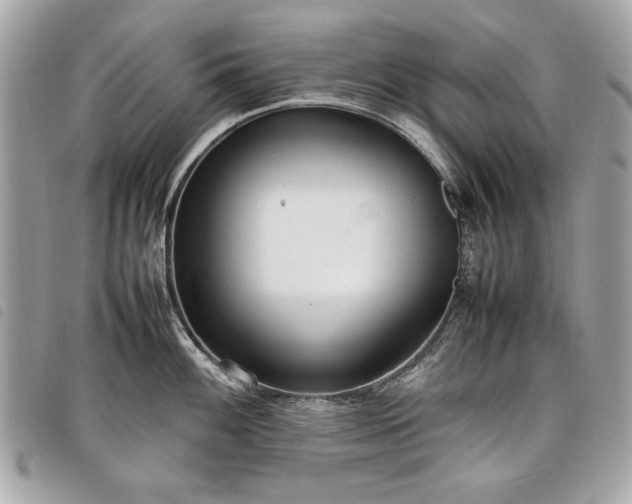 X0000098021100200804071347