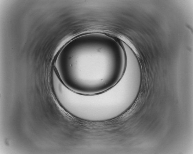 X0000098021101200804071347