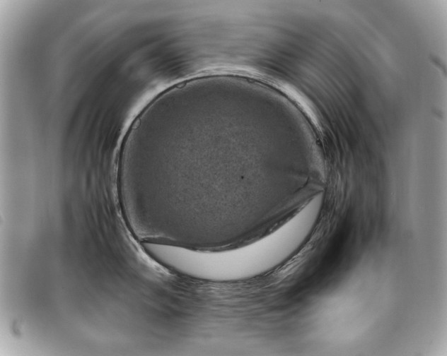 X0000098021102200804071347