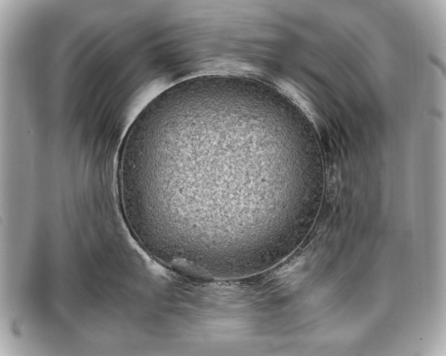 X0000098021103200804071347