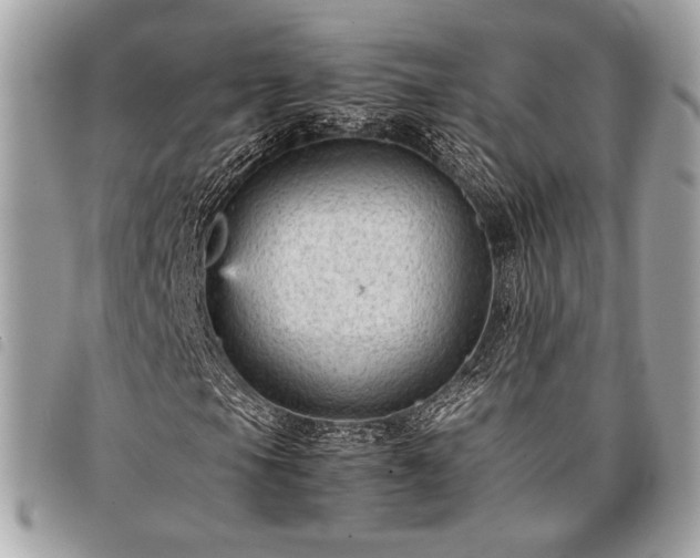 X0000098021105200804071346