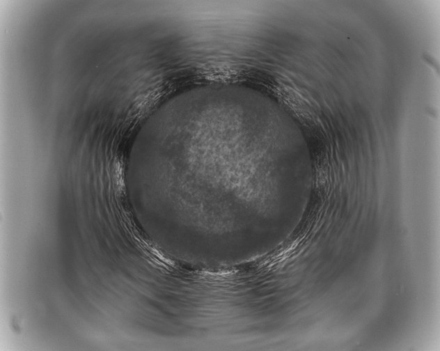 X0000098021106200804071346