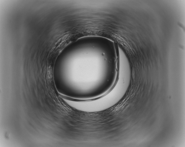 X0000098021107200804071346