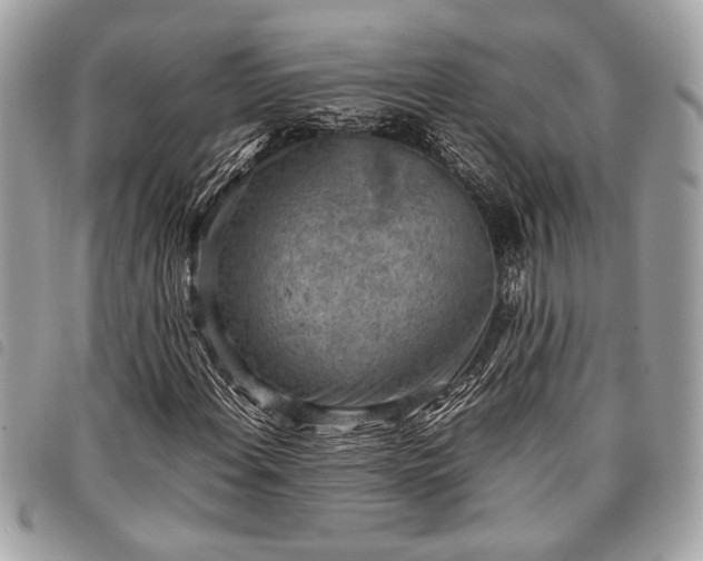 X0000098021108200804071346