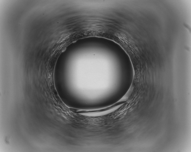 X0000098021109200804071346