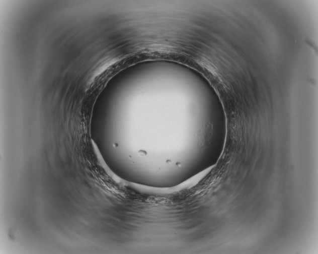 X0000098021112200804071346