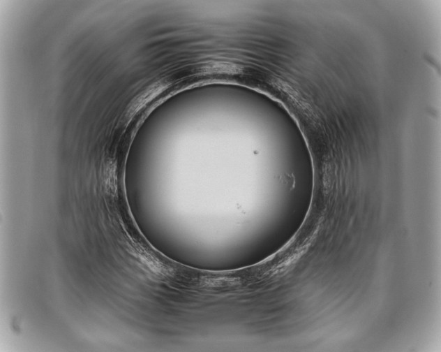 X0000098021113200804071346