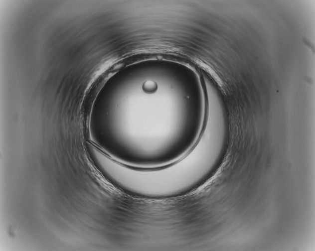 X0000098021114200804071346