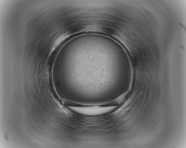 X0000098021115200804071346