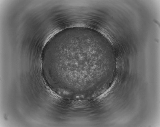 X0000098021117200804071346