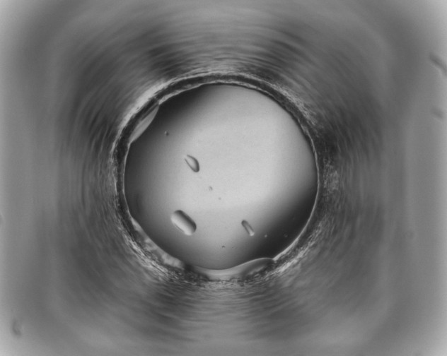 X0000098021118200804071346