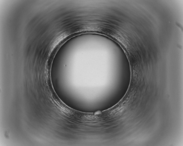 X0000098021119200804071346