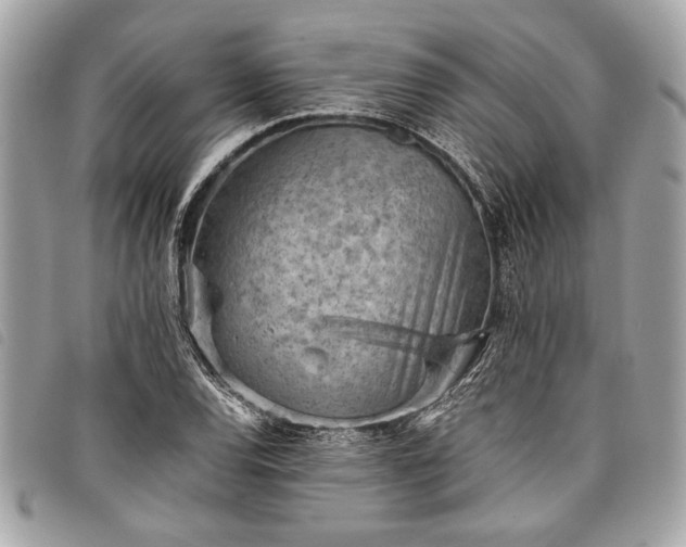 X0000098021120200804071346