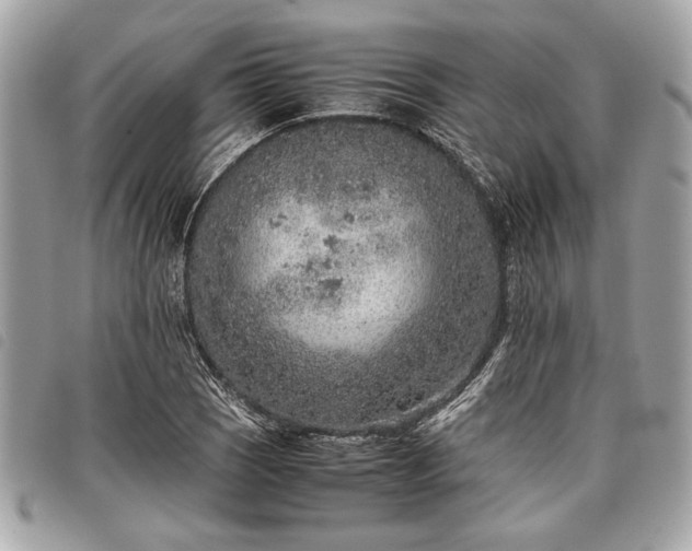 X0000098021121200804071346