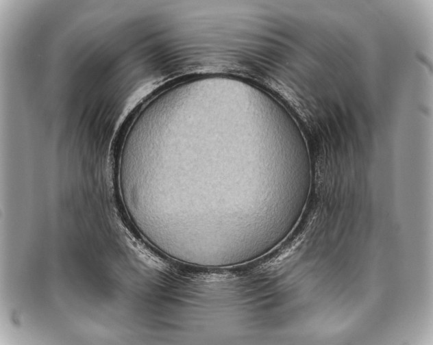 X0000098021122200804071346