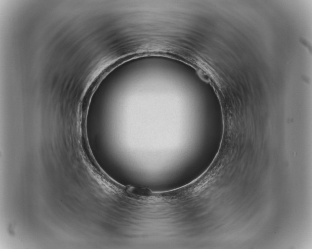 X0000098021124200804071346