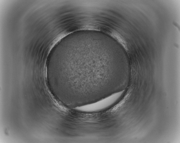 X0000098021125200804071346