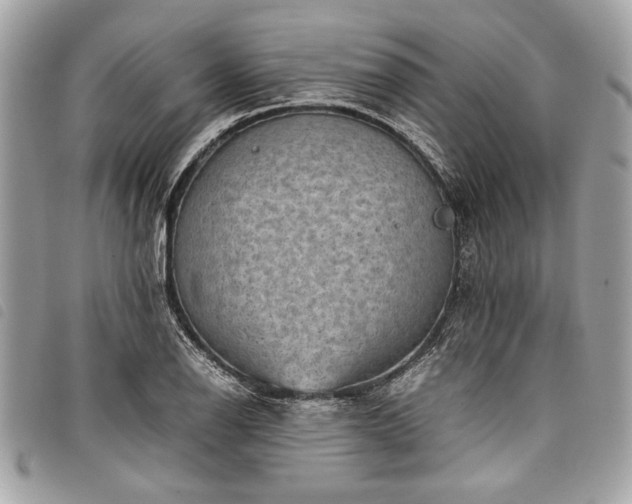 X0000098021126200804071346