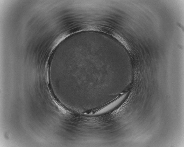 X0000098021127200804071346