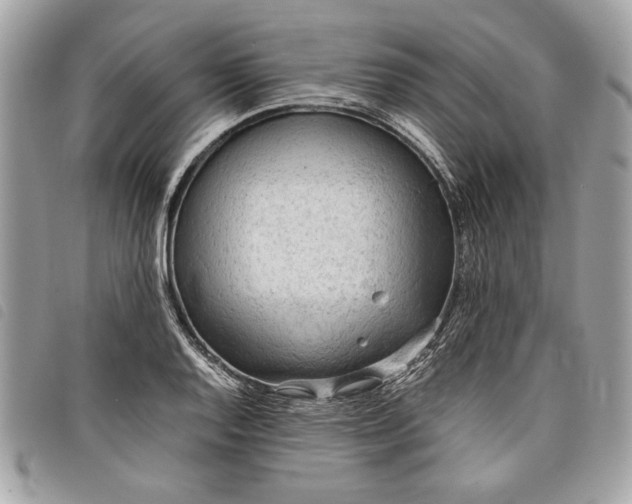 X0000098021128200804071346