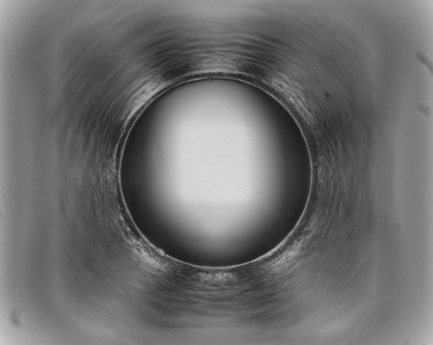 X0000098021129200804071346