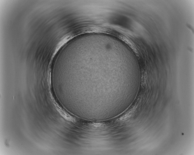 X0000098021130200804071346