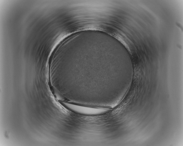 X0000098021132200804071347