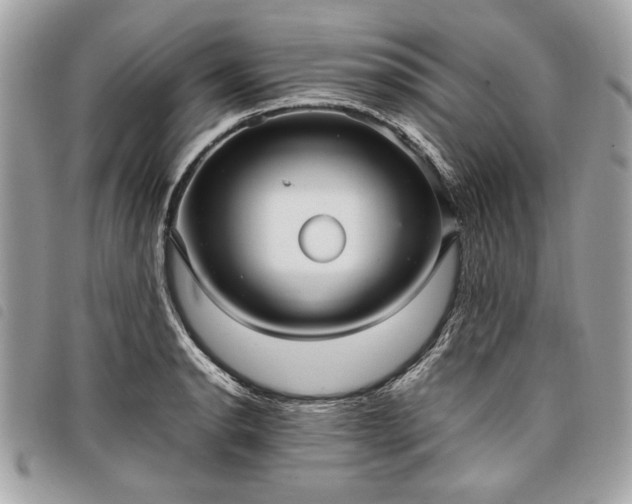 X0000098021134200804071347