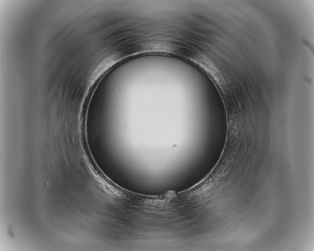 X0000098021135200804071347