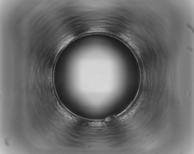 X0000098021137200804071347