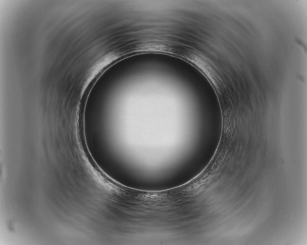 X0000098021139200804071347