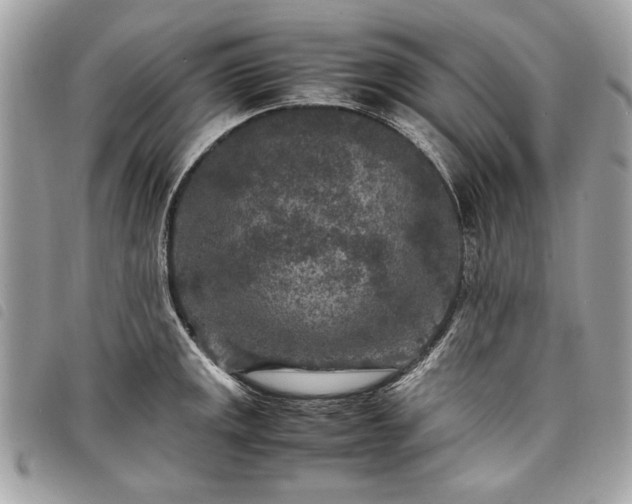 X0000098021141200804071347